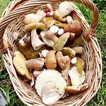 شقة Art House Tufi *